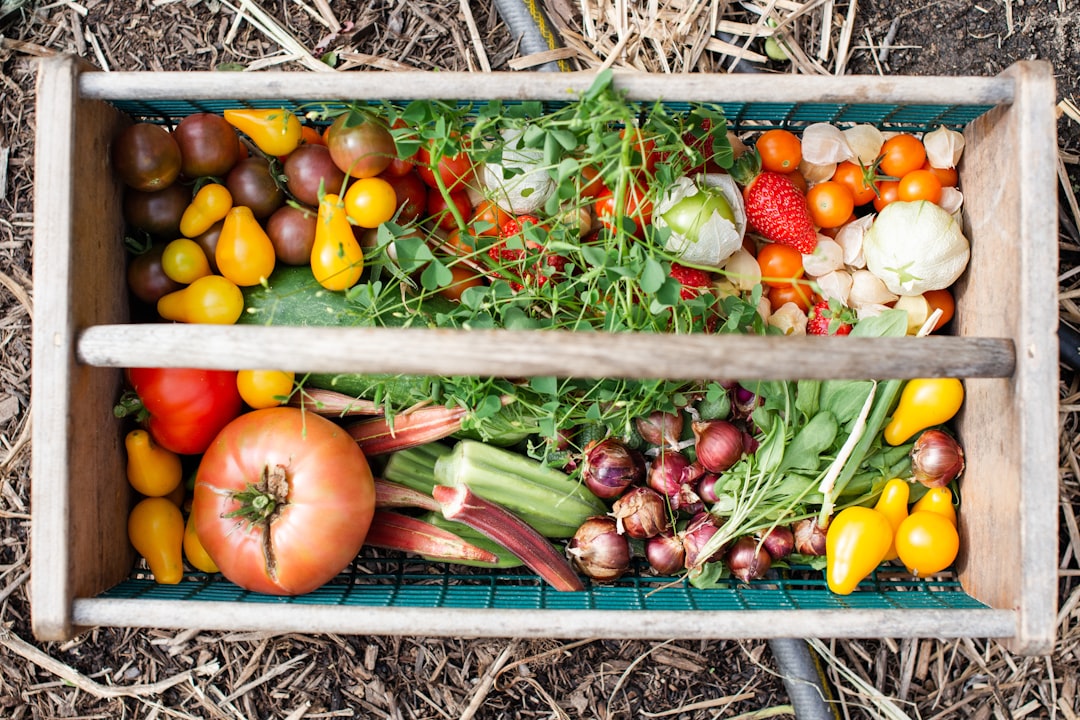 Gemüsegarten im Herbst