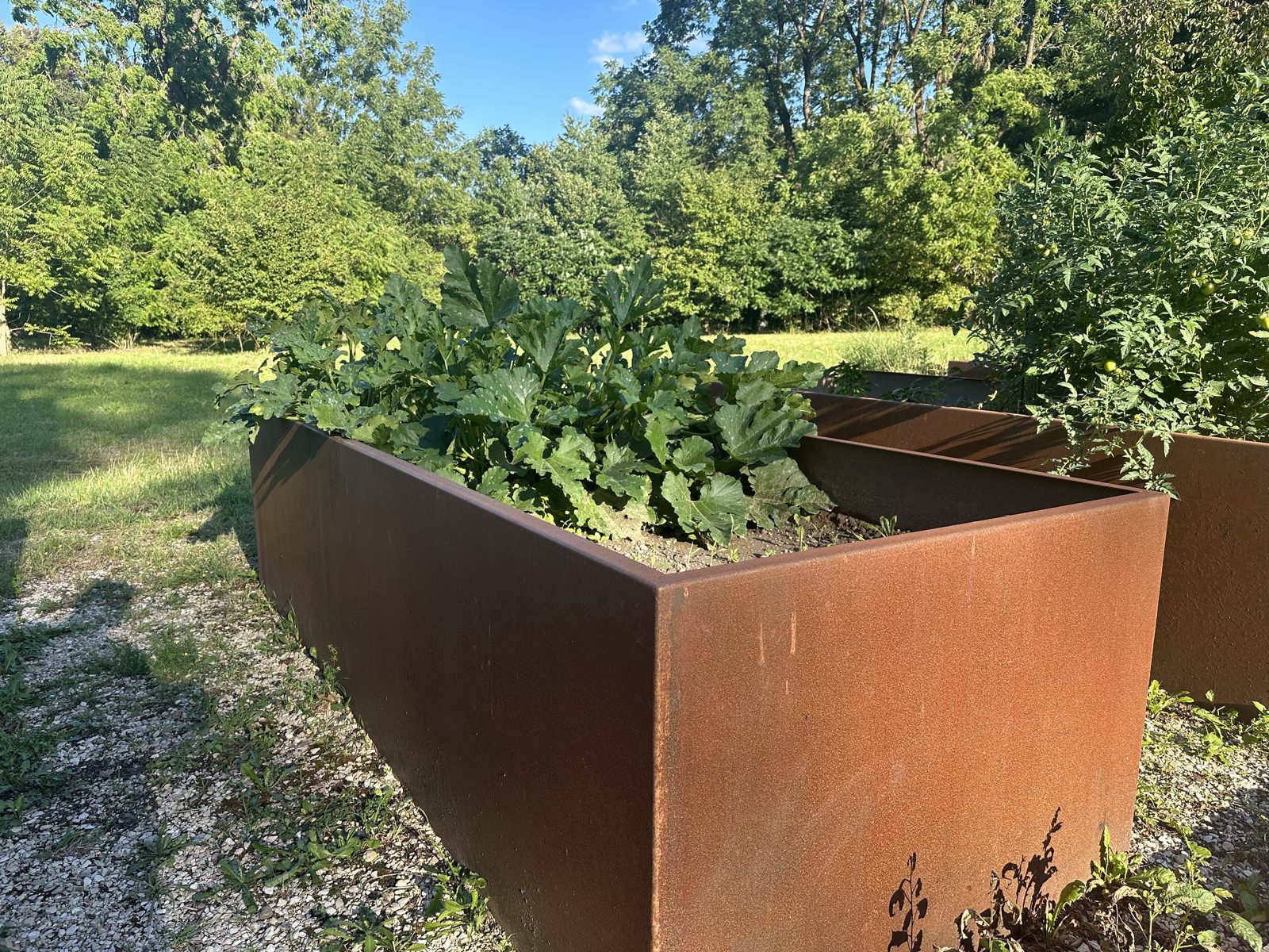 Hochbeet Test 2026