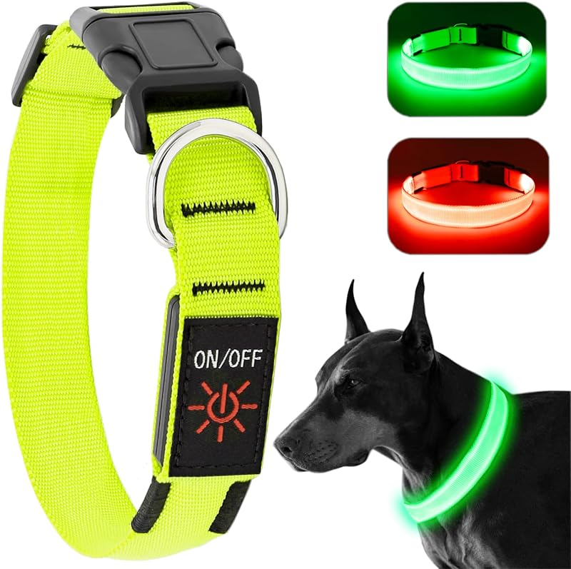Leuchthalsband für Hunde mit USB-Akku, leuchtend in Gelbgrün