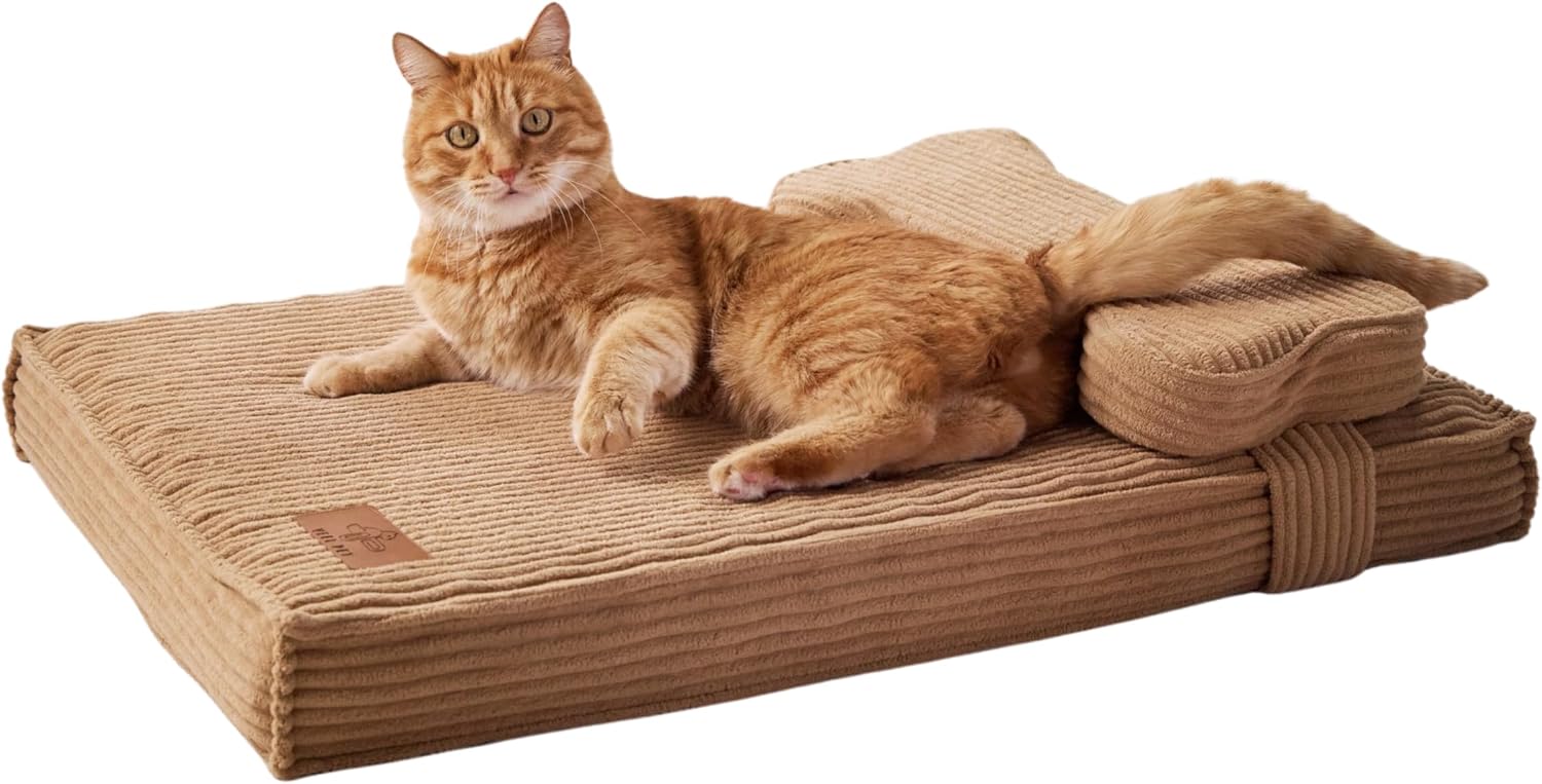 Orthopädisches Katzenbett mit Kissen wasserdicht waschbar