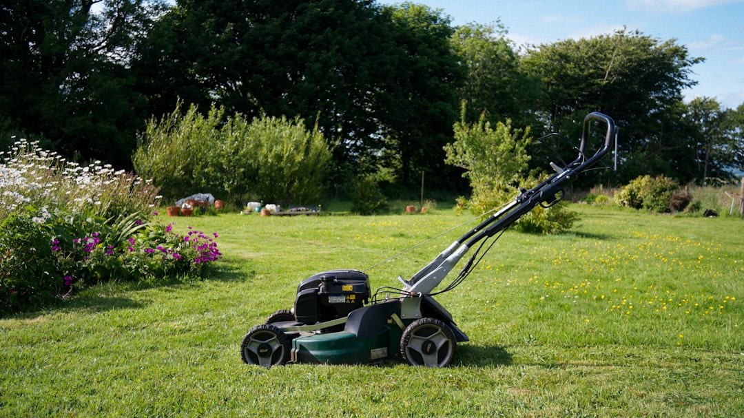 Mähroboter auf Rasen