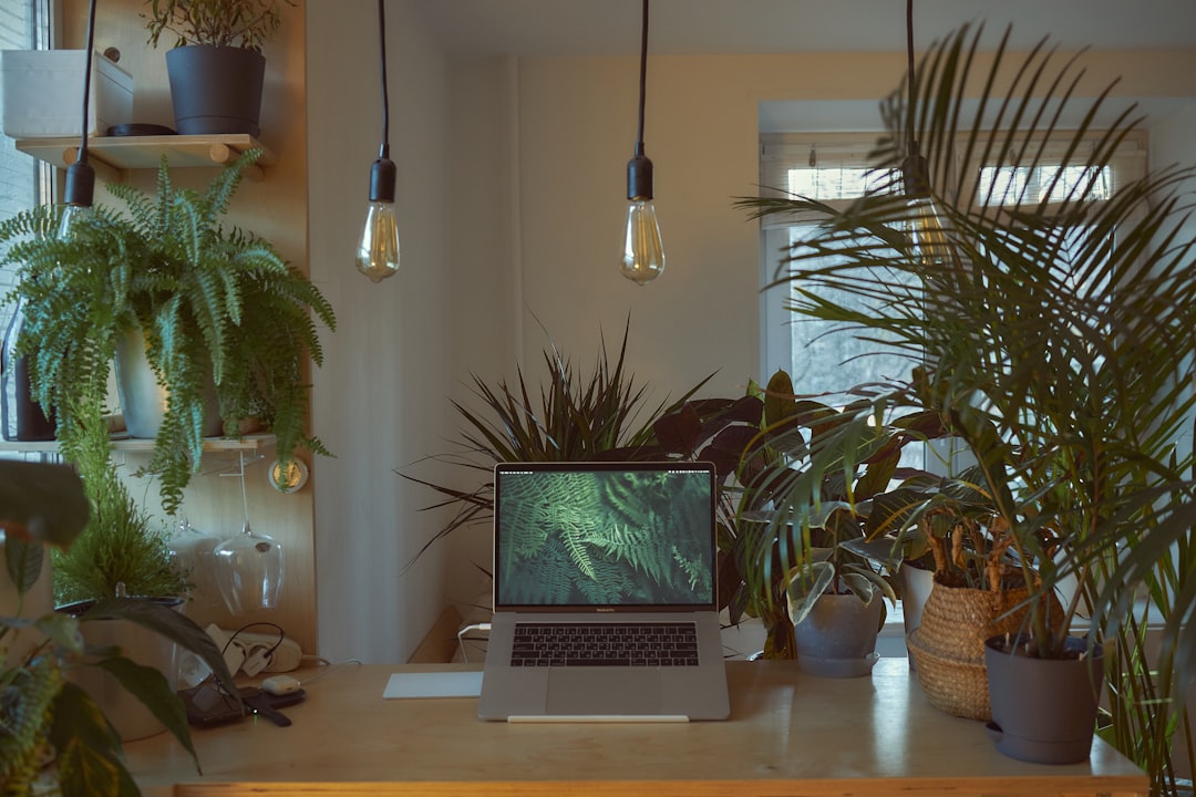 Pflanzenlampe Test