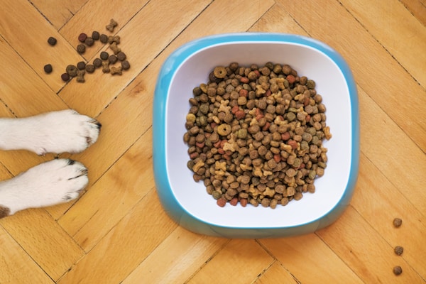 Royal Canin Instinctive Gravy