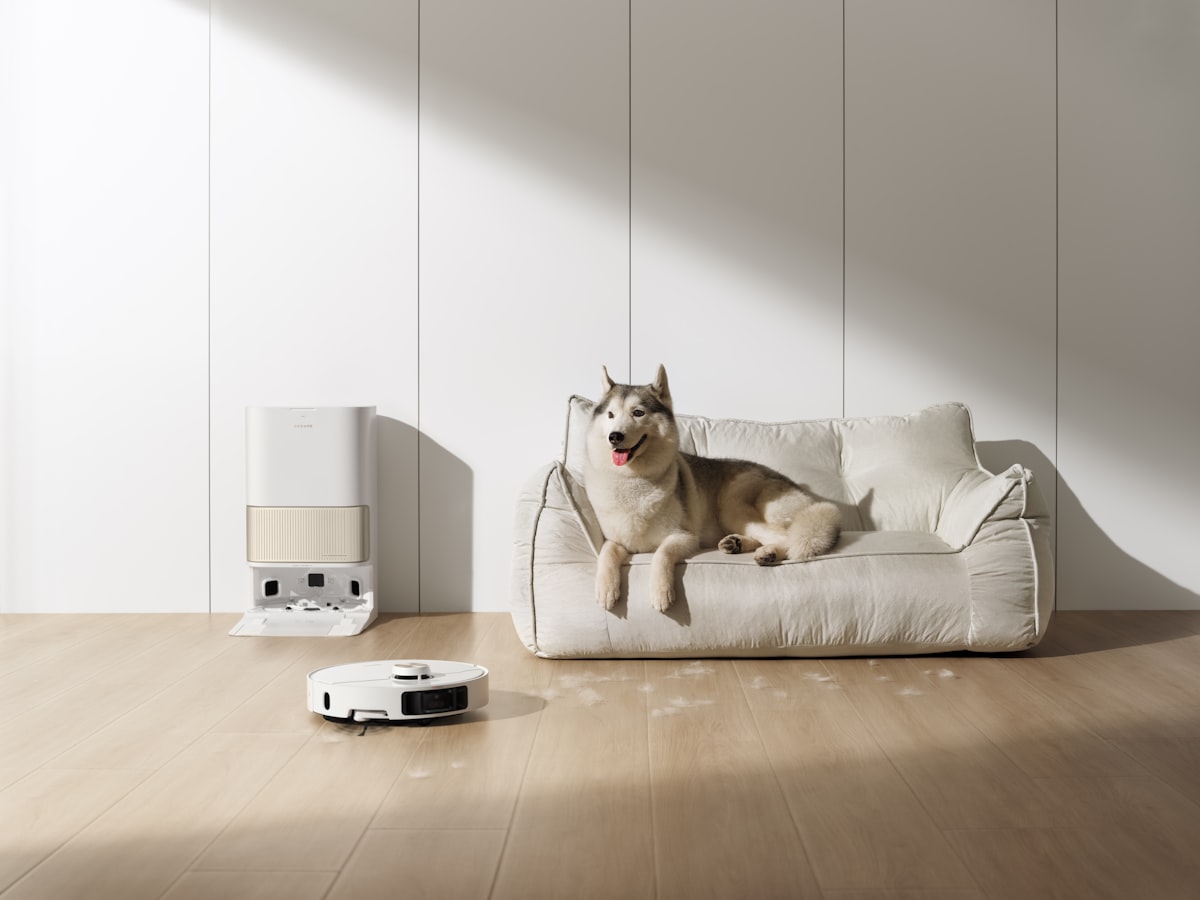 Hund neben Saugroboter auf dem Sofa