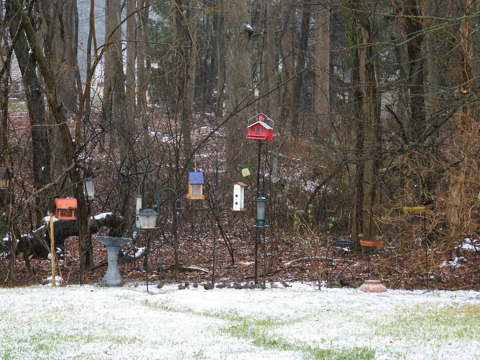 Verschiedene Vogelfutterhäuser und eine Vogeltränke in einem verschneiten Garten